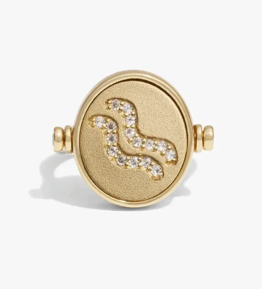 Zodiac and Element Flip Ring